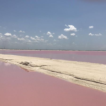 Hotel Villa De Pescadores Río Lagartos Kültér fotó