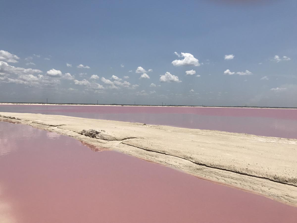 Hotel Villa De Pescadores Río Lagartos Kültér fotó